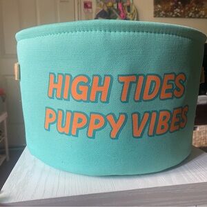 Teal Storage Basket for Dogs